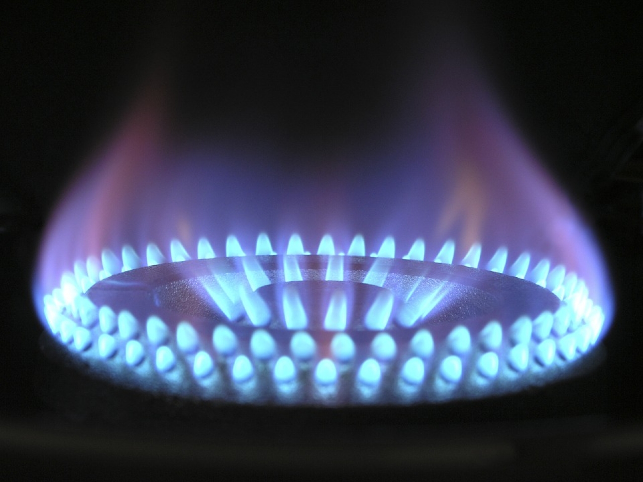 Landlords, It’s Gas Safety Week, and Here’s What You Should Know